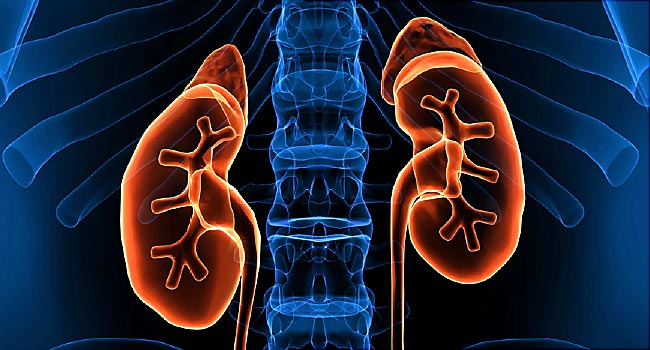 Your Kidneys aren’t where they used to be